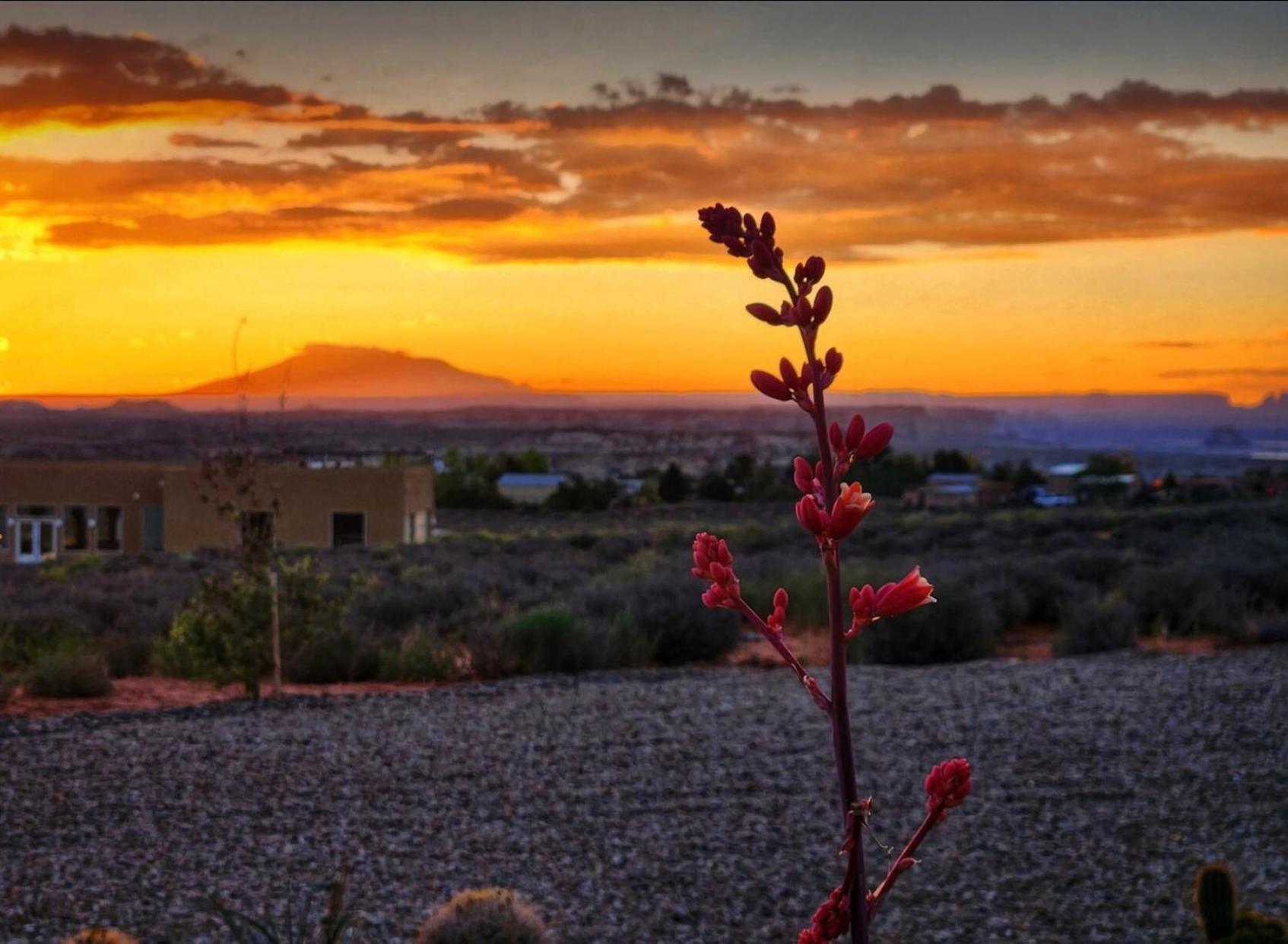 Page Arizona Border Town- Crimson Suite, Desert Canyon Getaway With Views ビッグ・ウォーター エクステリア 写真